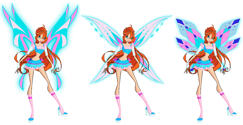Bloom S,Z,T
